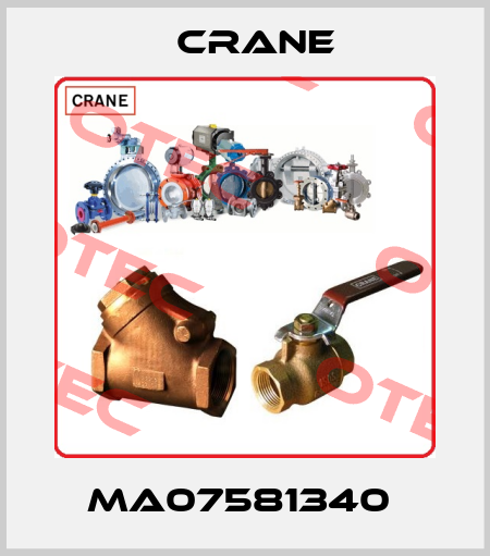 MA07581340  Crane