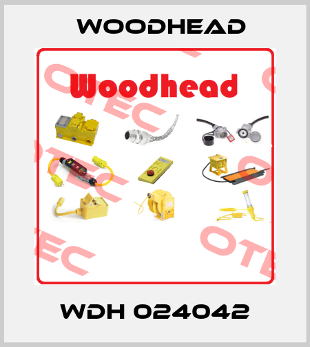 WDH 024042 Woodhead
