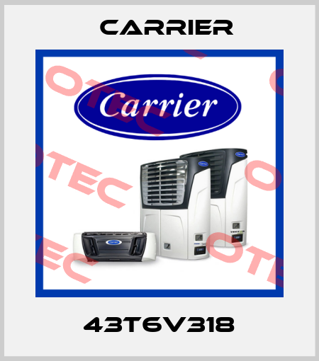 43T6V318 Carrier