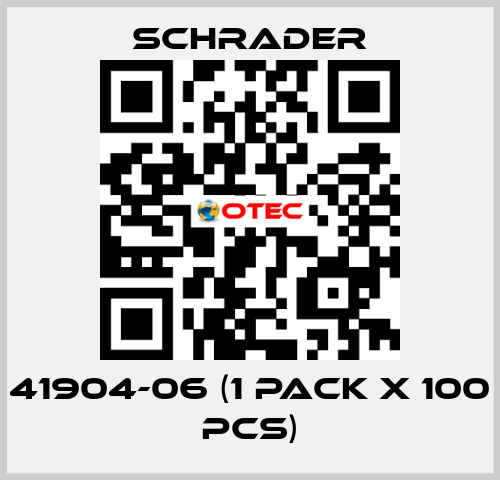 41904-06 (1 pack x 100 pcs) Schrader
