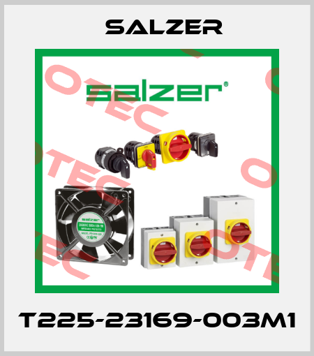 T225-23169-003M1 Salzer
