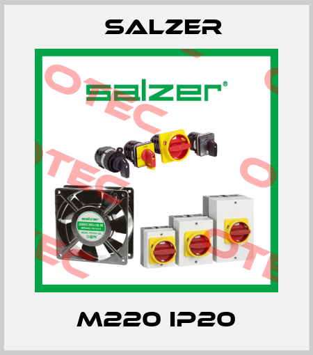 M220 IP20 Salzer