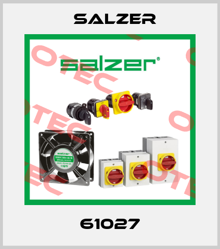 61027 Salzer