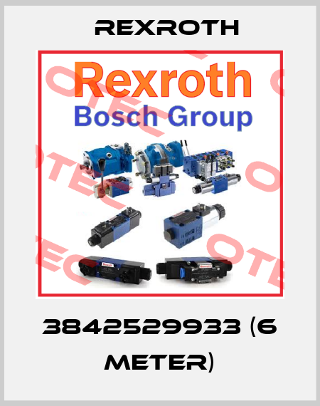 3842529933 (6 meter) Rexroth