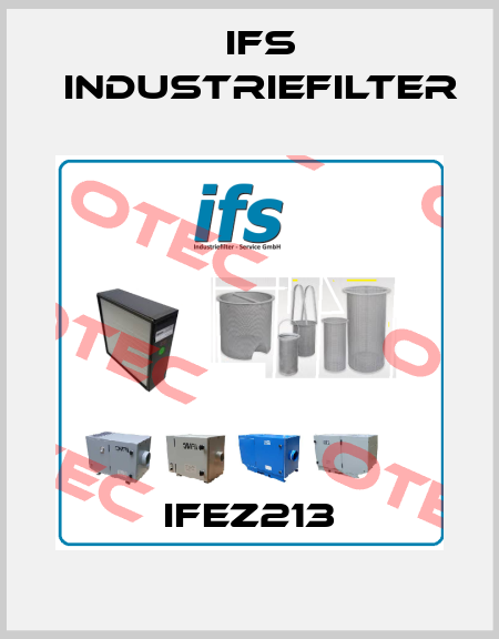 IFEZ213 IFS Industriefilter