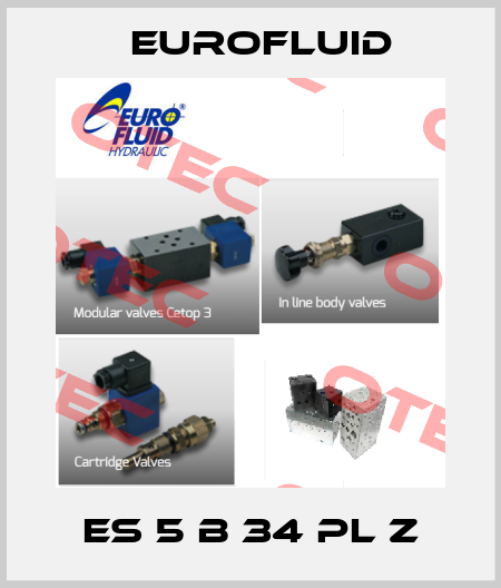 ES 5 B 34 PL Z Eurofluid