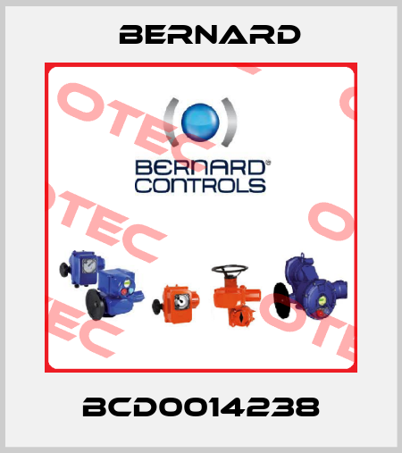 BCD0014238 Bernard