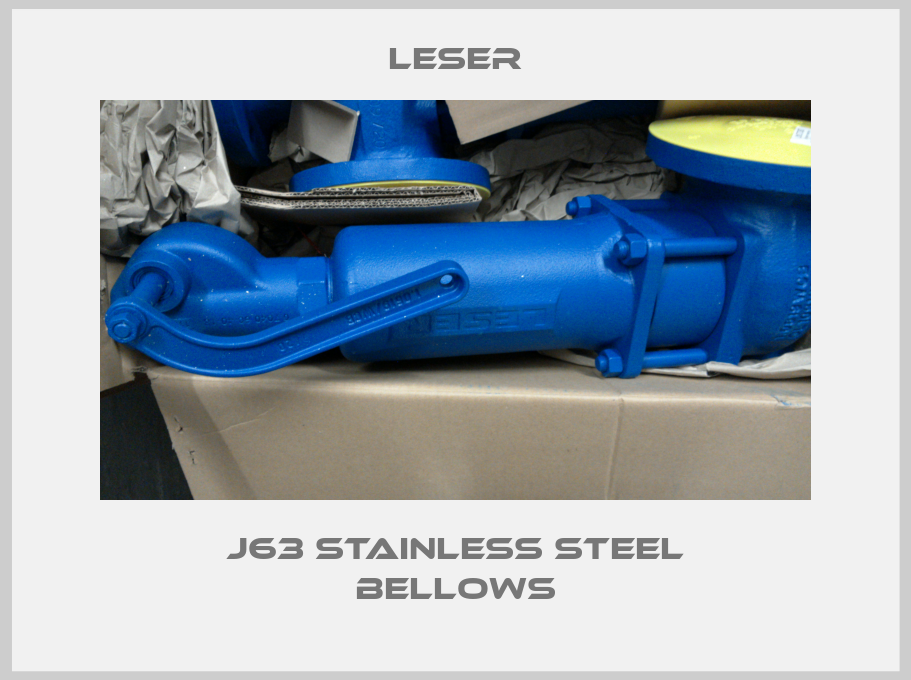 J63 stainless steel bellows-big