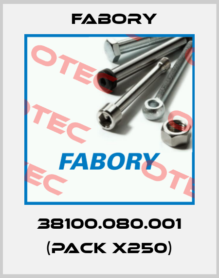 38100.080.001 (pack x250) Fabory