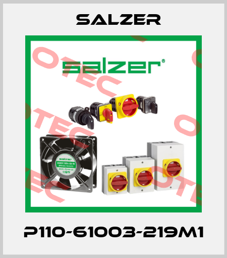P110-61003-219M1 Salzer