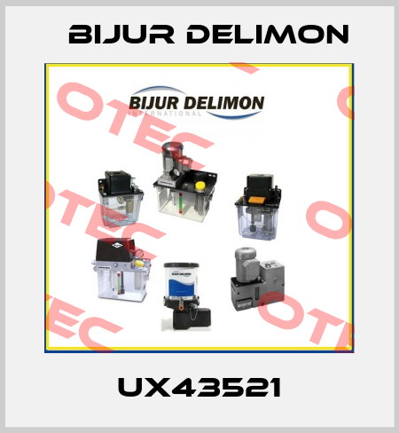 UX43521 Bijur Delimon