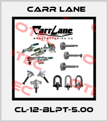 CL-12-BLPT-5.00 Carr Lane