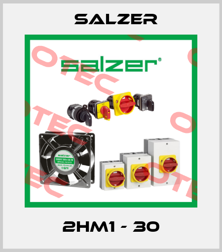 2HM1 - 30 Salzer