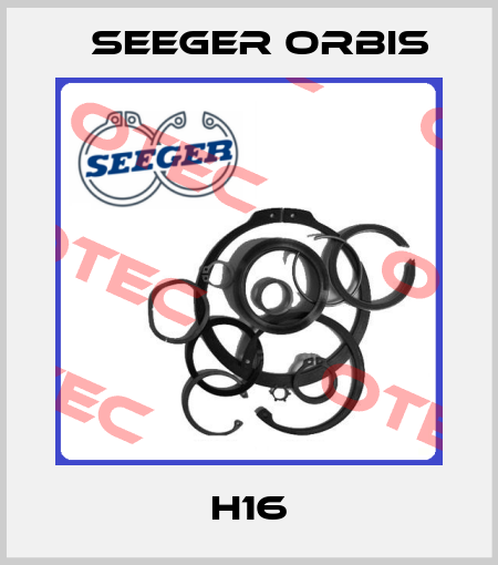 H16 Seeger Orbis