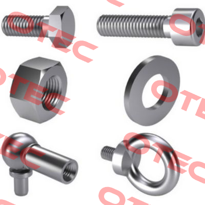 38807.020.001 (package of 10 pcs) Fabory