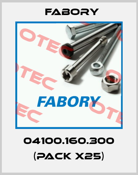 04100.160.300 (pack x25) Fabory