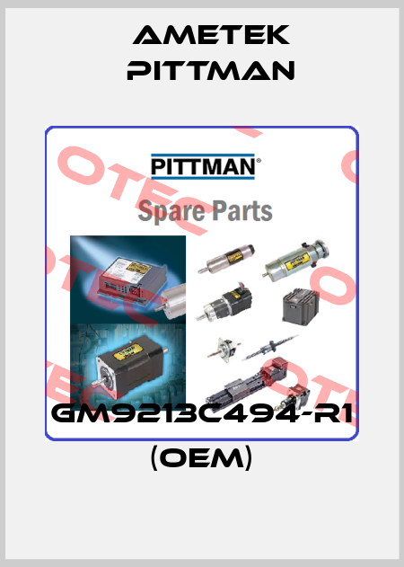 GM9213C494-R1 (OEM) Ametek Pittman