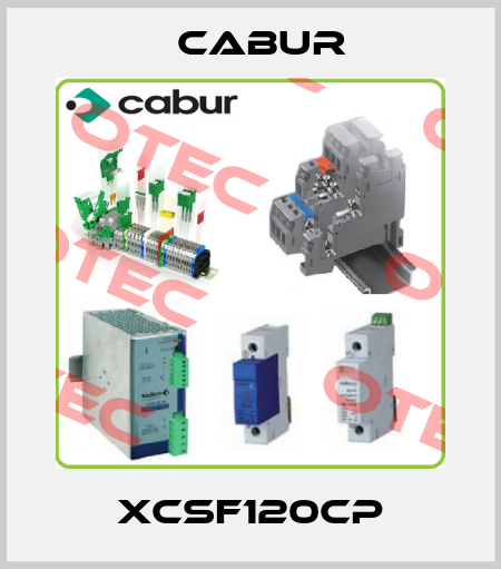 XCSF120CP Cabur