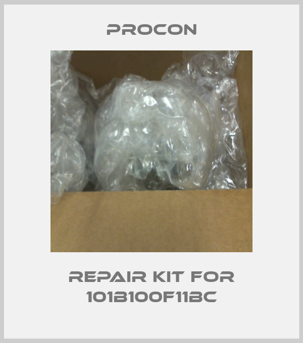 Repair kit for 101B100F11BC-big
