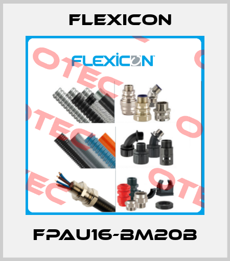 FPAU16-BM20B Flexicon
