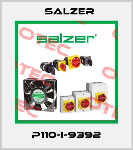 P110-I-9392 Salzer