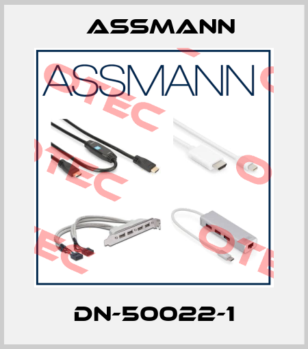 DN-50022-1 Assmann