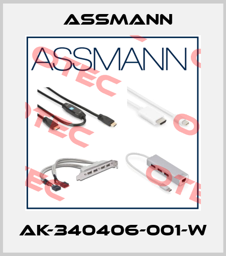 AK-340406-001-W Assmann