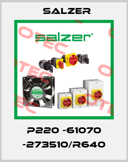 P220 -61070 -273510/R640 Salzer