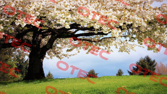P/N: 117330,Type: CES-I-AP-M-C04-U20-117330 De-Test DENEME