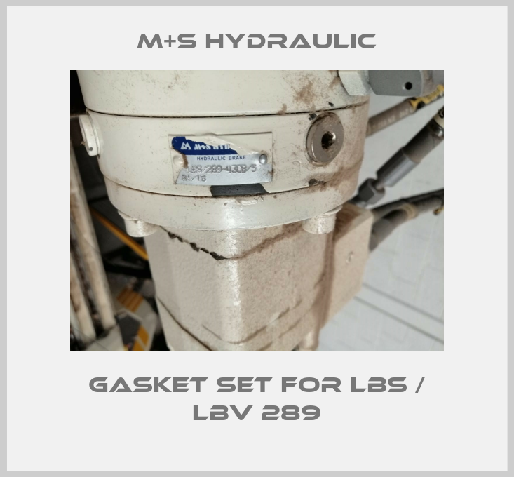 Gasket set for LBS / LBV 289-big
