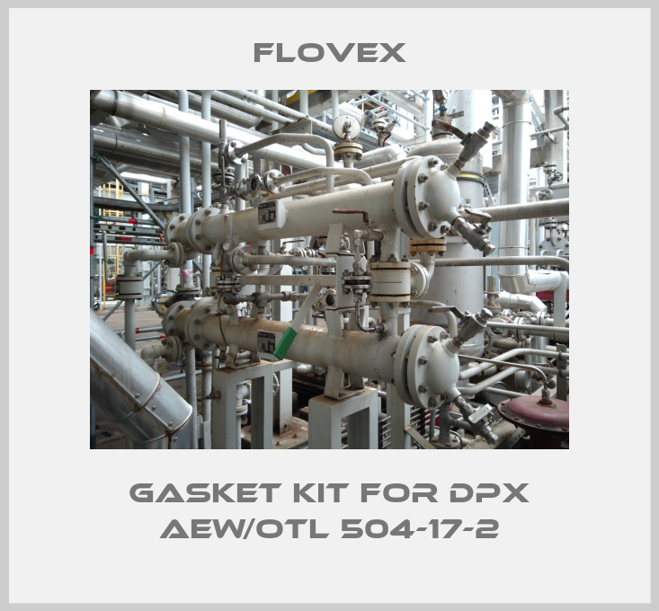 Gasket kit for DPX AEW/OTL 504-17-2-big