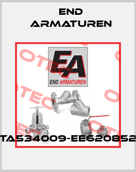 TA534009-EE620852 End Armaturen