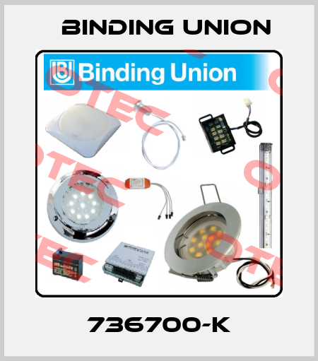 736700-K Binding Union