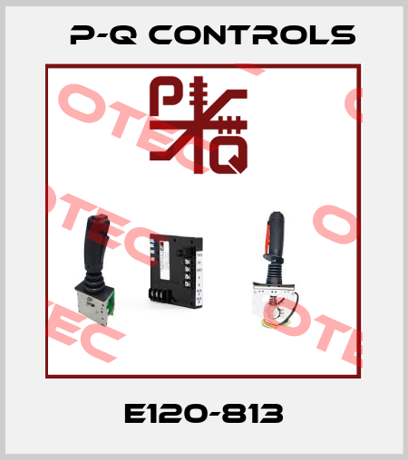 E120-813 P-Q Controls