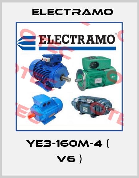 YE3-160M-4 (  V6 ) Electramo