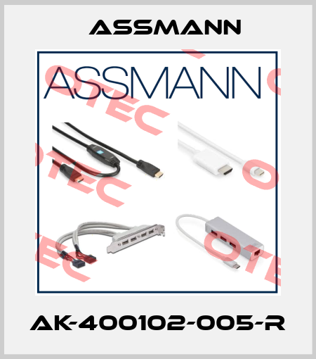 AK-400102-005-R Assmann