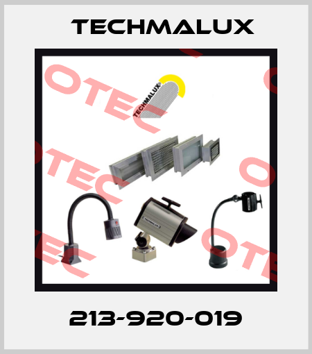 213-920-019 Techmalux