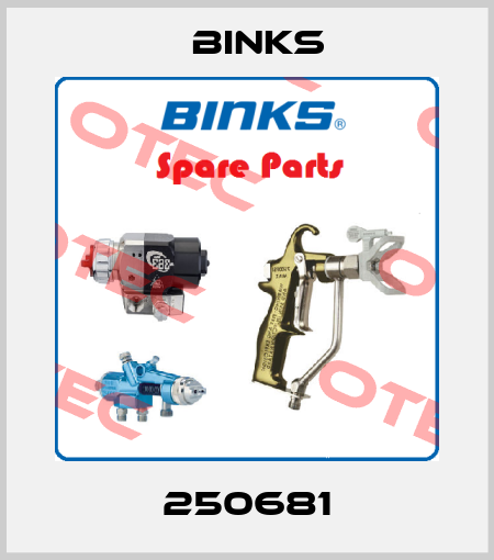 250681 Binks