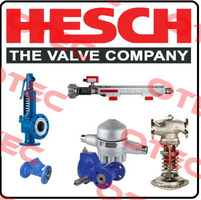 0LCW20AA020 Hesch