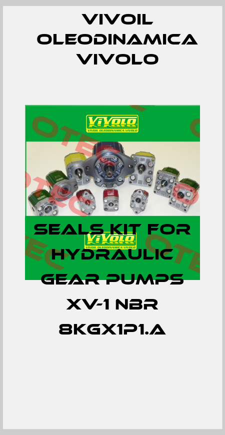 Seals kit for hydraulic gear pumps XV-1 NBR 8KGX1P1.A Vivoil Oleodinamica Vivolo