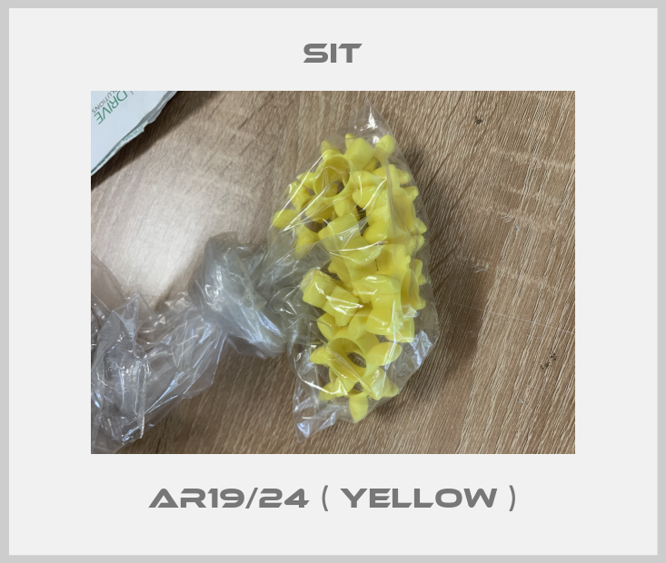 AR19/24 ( yellow )-big