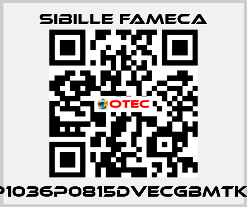 VDP1036P0815DVECGBMTKRI1T Sibille Fameca