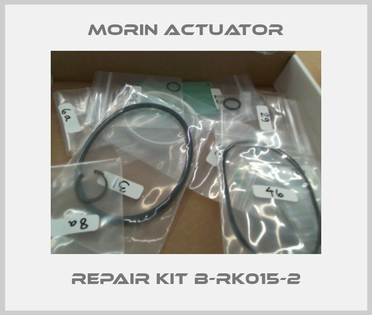 Repair Kit B-RK015-2-big