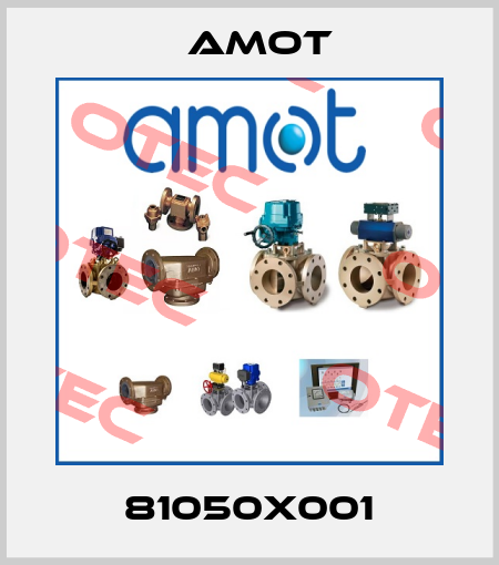 81050X001 Amot