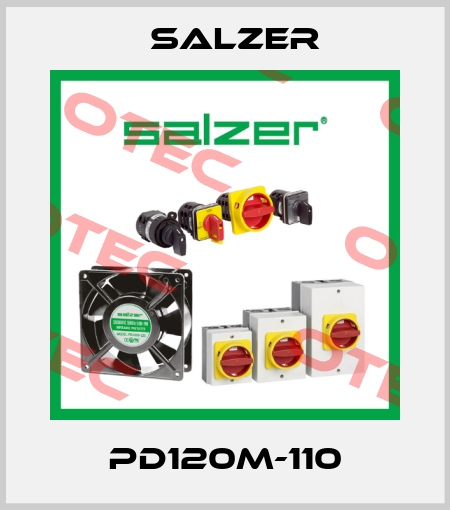 PD120M-110 Salzer