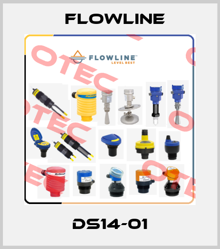 DS14-01 Flowline