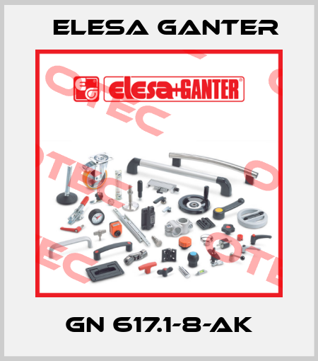 GN 617.1-8-AK Elesa Ganter