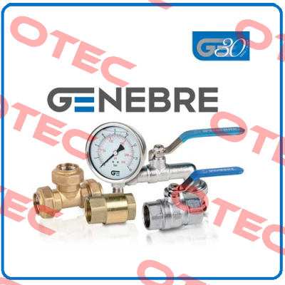 KIT viton o-rings for K2406 (dn 100) Genebre