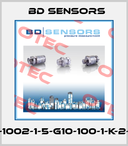 590-1002-1-5-G10-100-1-K-2-000 Bd Sensors