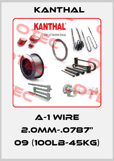 A-1 WIRE 2.0MM-.0787" 09 (100lb-45kg) Kanthal
